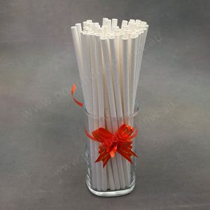 Paper Straws